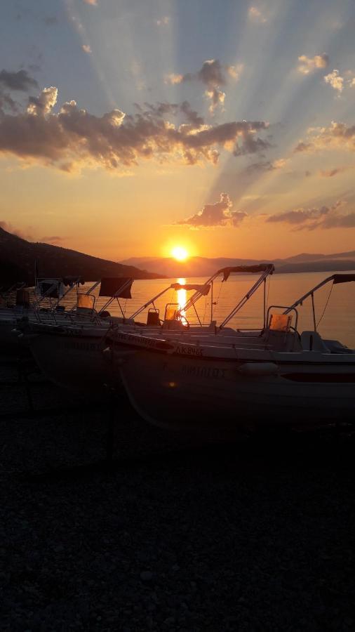 Vasiliki See View Apartments برباتي المظهر الخارجي الصورة